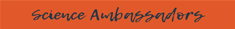 SA header